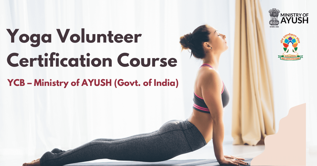 The Ultimate Guide to the Yoga Volunteer Certification Course (YV)